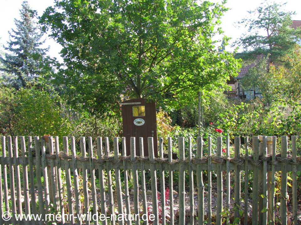 Natur im Garten - ein naturnaher Garten in Großjena bei Freyburg/Unstrut