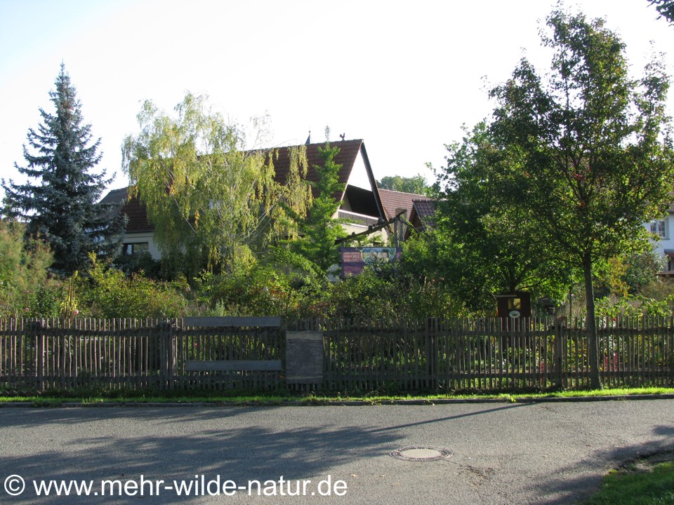 Natur im Garten - ein naturnaher Garten in Großjena bei Freyburg/Unstrut