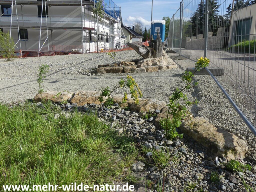 2. Mitmachwochenende 05./06.05.2023 in Köttendorf - die ersten Pflanzen und Sträucher sind gesetzt, ebenso Totholzelemente.